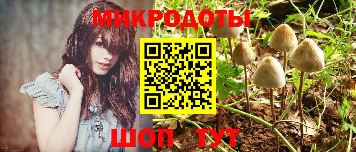 цена наркотик  Вход с VPN  Калуга  Галлюциногенные грибы Magic Shrooms 