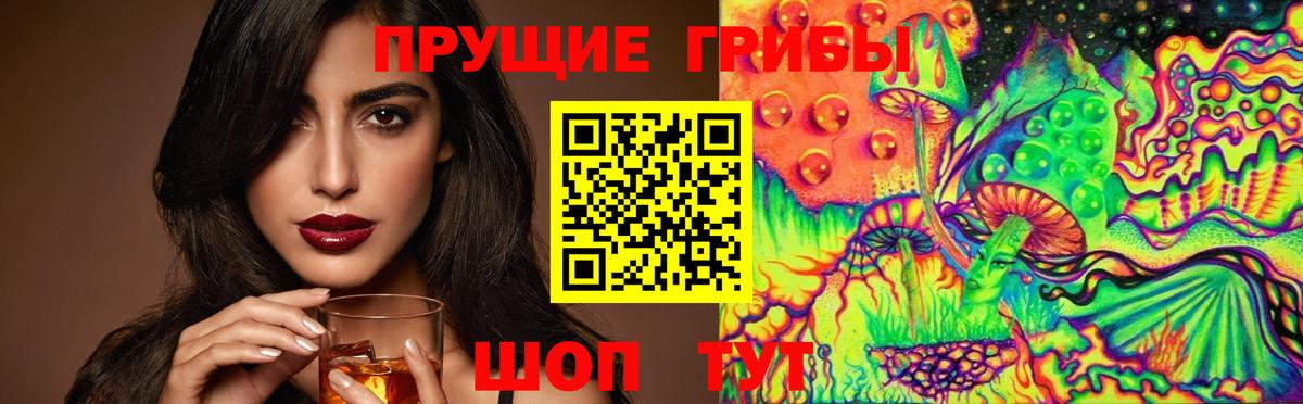 Псилоцибиновые грибы мицелий Калуга